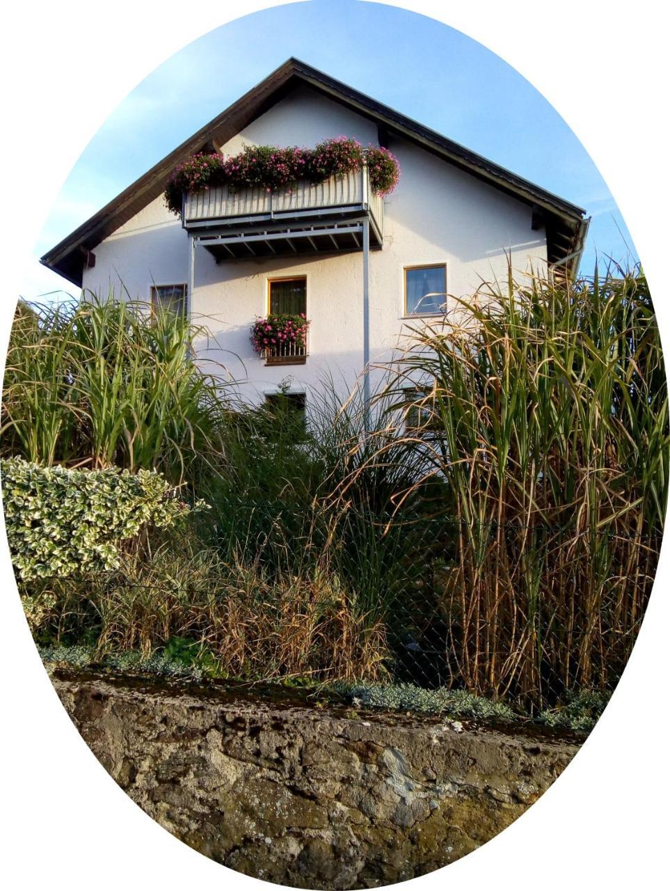 Ferienwohnung Uschkereit Waldmünchen Exteriér fotografie
